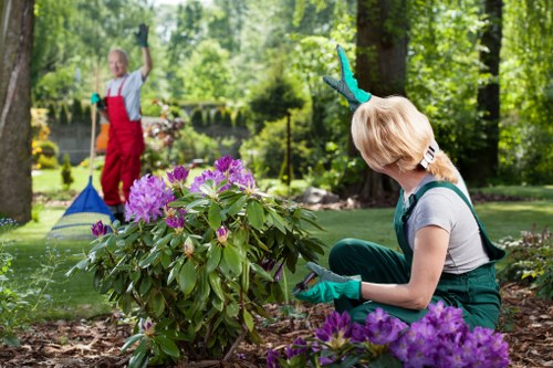 Sustainable gardening practices by Gardeners Clapham