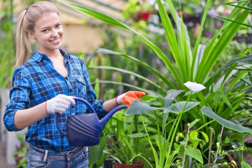 Professional garden clearance services in Clapham