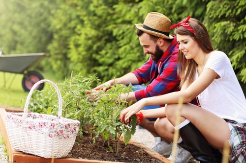 Different types of lawn mowers for various garden sizes