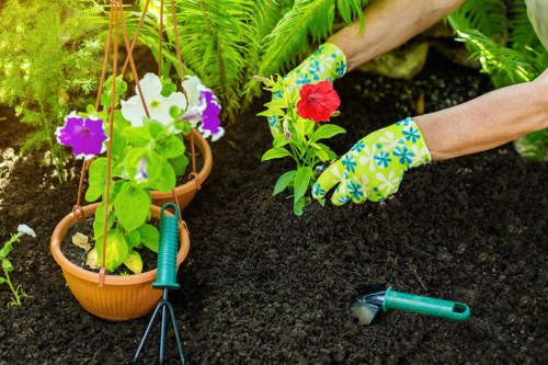 Expert gardeners designing a Clapham garden