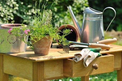 Seasonal lawn care activities in Clapham gardens