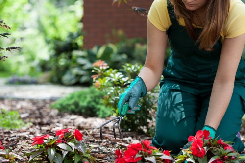 Efficient irrigation system in a Clapham backyard