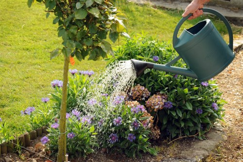 Team of professionals maintaining a green lawn