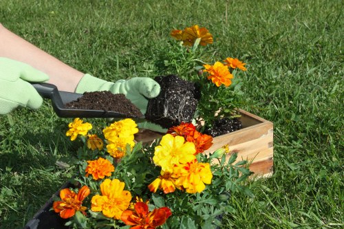 Professional gardener working in Clapham